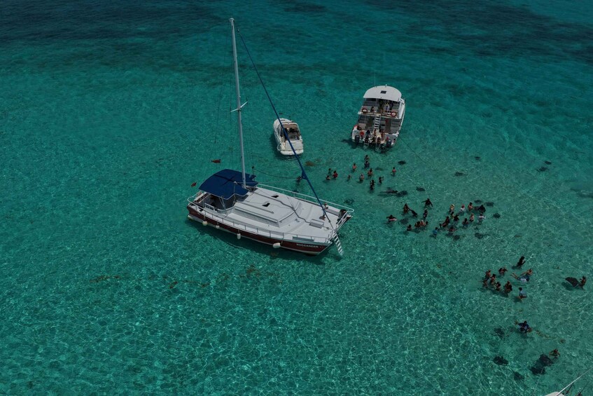 Picture 23 for Activity Grand Cayman: Stingray City Catamaran Sunset Tour 3