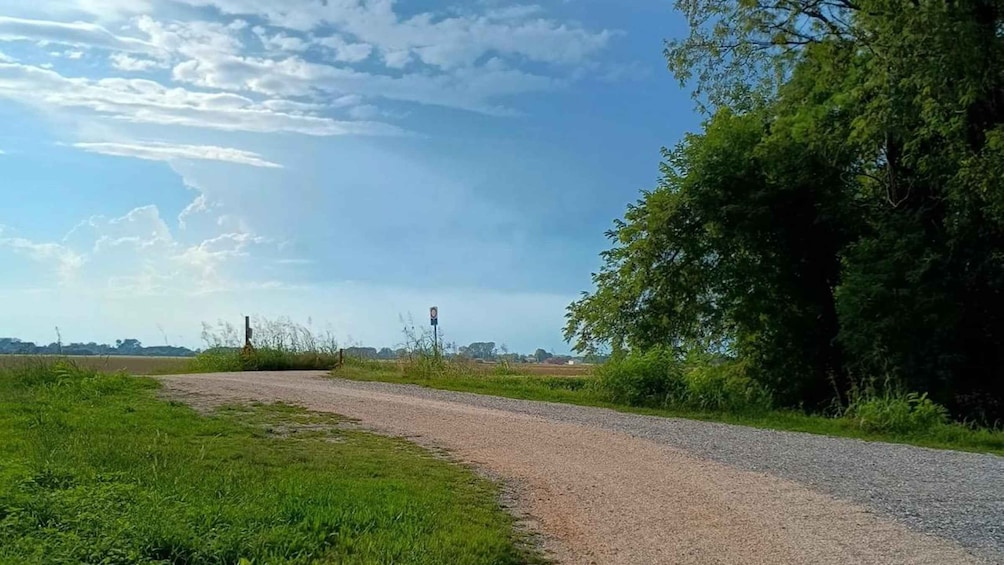 A rural road with a gravel shoulder, surrounded by greenery and a clear sky. 4