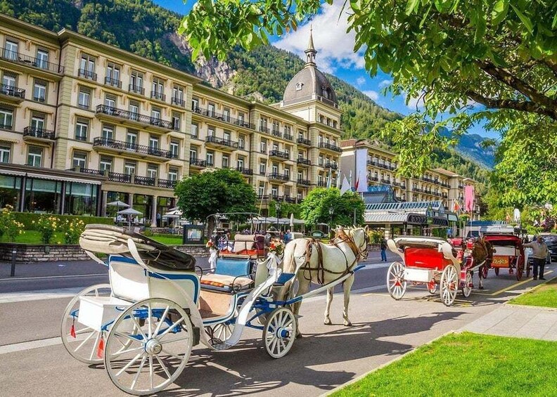 Picture 1 for Activity From Basel: Private Interlaken tour, Lake Brienz, Waterfalls 3