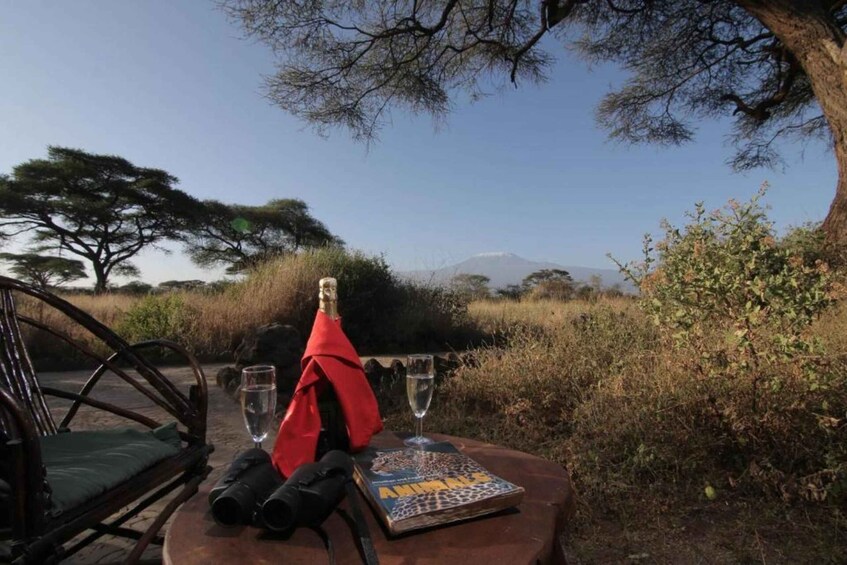 A table with a book, a bottle, and two glasses, set outdoors with a view of a mountain and trees. 3