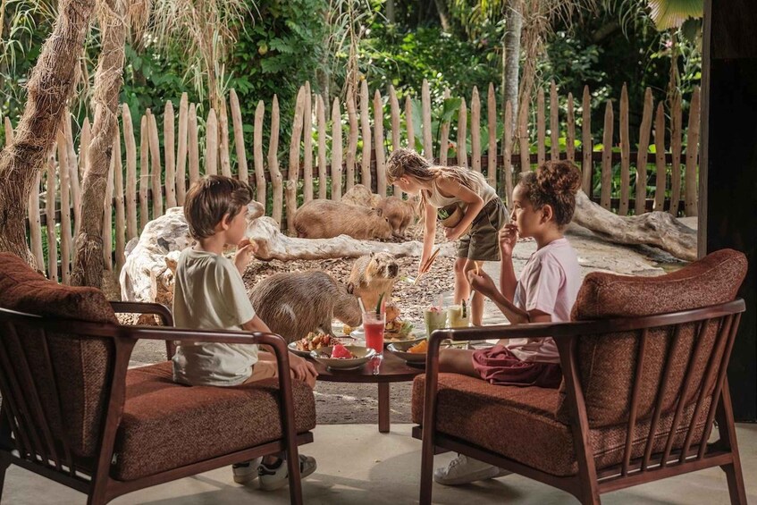 A group of people dining outdoors with a wooden fence and trees in the background. 1