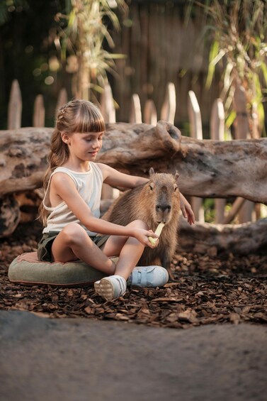 A child sitting on a mat feeding a capybara in a natural setting with logs and foliage in the background. 4