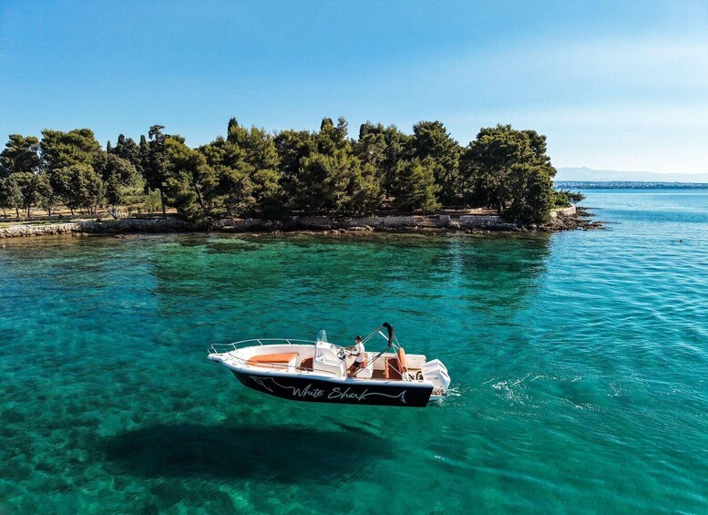 A boat named 'White Shark' on clear turquoise water with a tree-lined shore in the background. 5