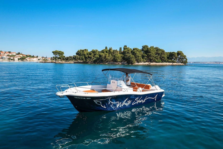 A boat named 'White Shark' on calm water with a clear sky and a tree-lined shore in the background. 4