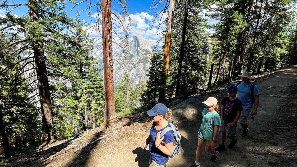 A group hiking on a forest trail with a mountain in the background. 1