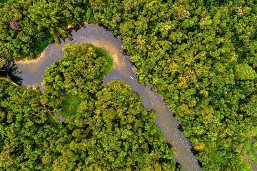 Private 3-Day Iquitos Amazon Jungle Tour with Premium Lodge 4