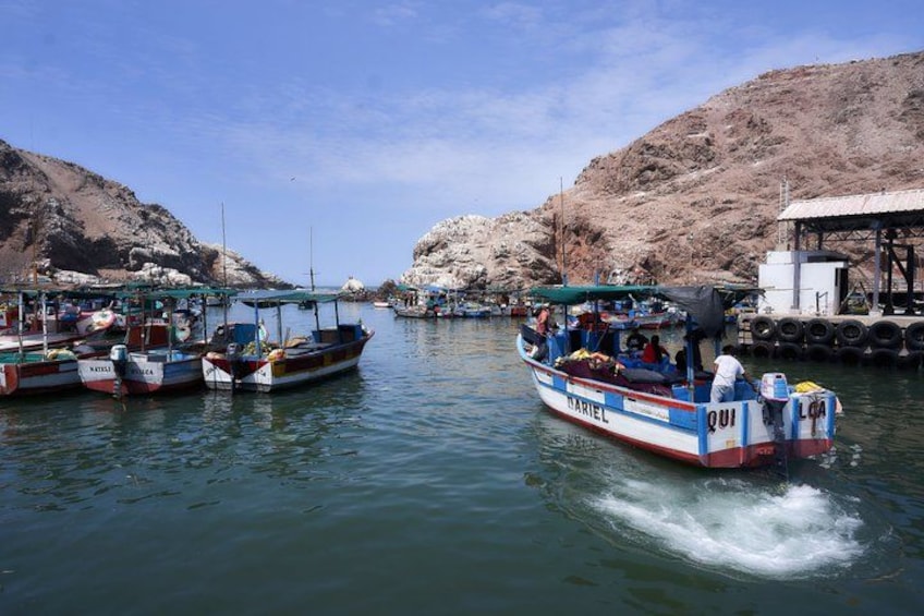 A harbor with boats docked, rocky cliffs, and a clear sky. 3