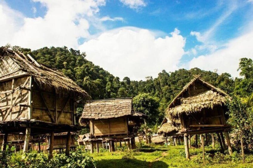 Traditional wooden houses with thatched roofs in a lush, green forest setting. 2