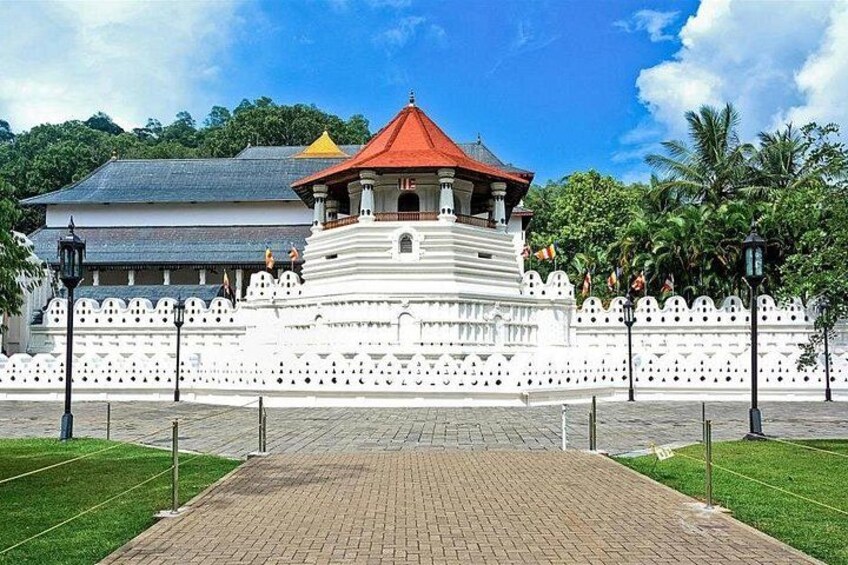 Explore Sri Lanka in 7 Day Trip from Katunayake 1