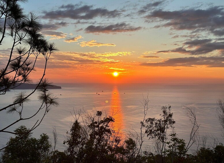 A sunset over a calm sea with silhouettes of trees in the foreground. 1