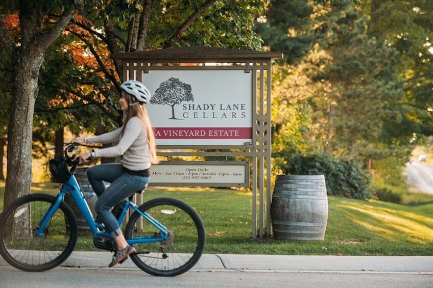 E Bike The Vines Winery Bike Tour 3