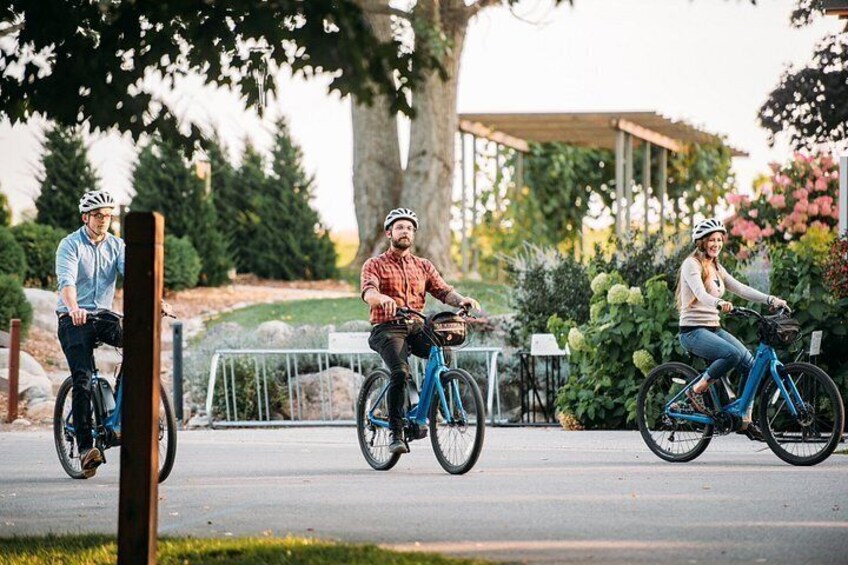 E Bike The Vines Winery Bike Tour 2