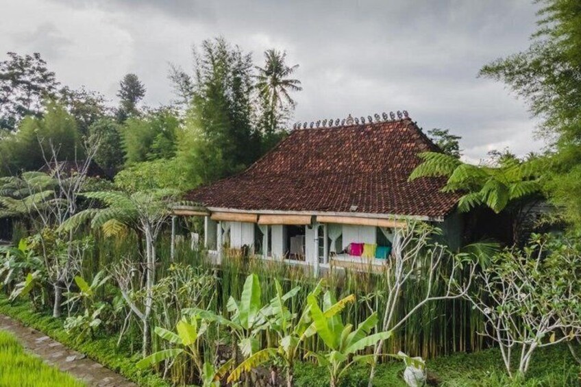 A traditional house with a tiled roof surrounded by lush tropical vegetation. 4