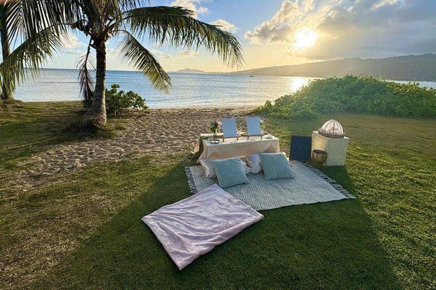 Secluded Beachside Luxury Picnic & Painting 1
