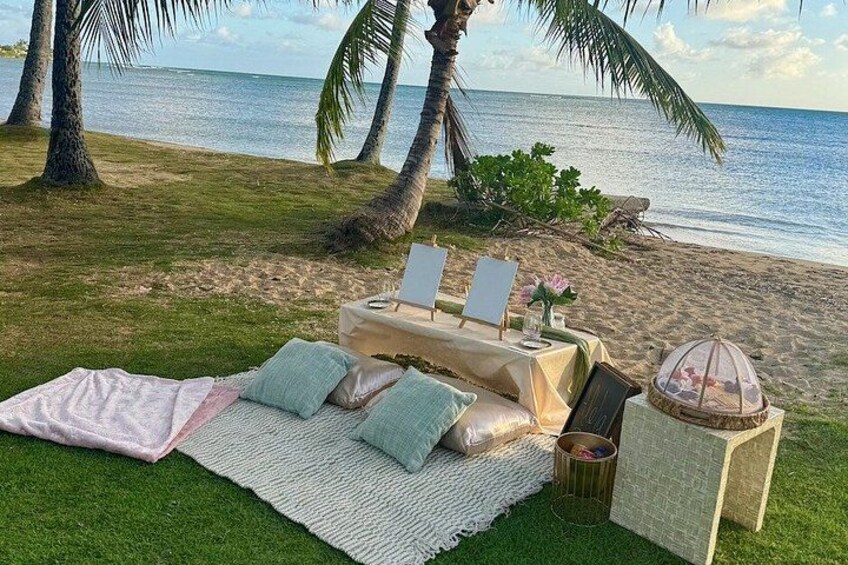 Secluded Beachside Luxury Picnic & Painting 4