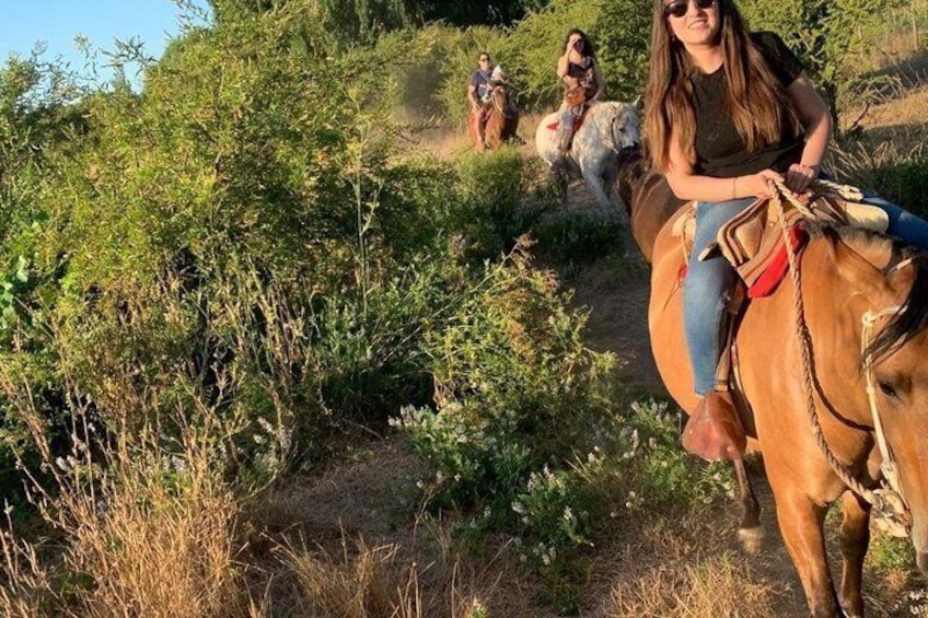 A person riding a horse on a dirt trail surrounded by greenery. 5