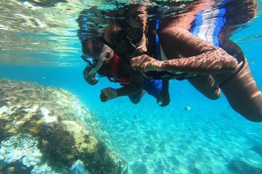 A person swimming underwater with a large marine animal. 4