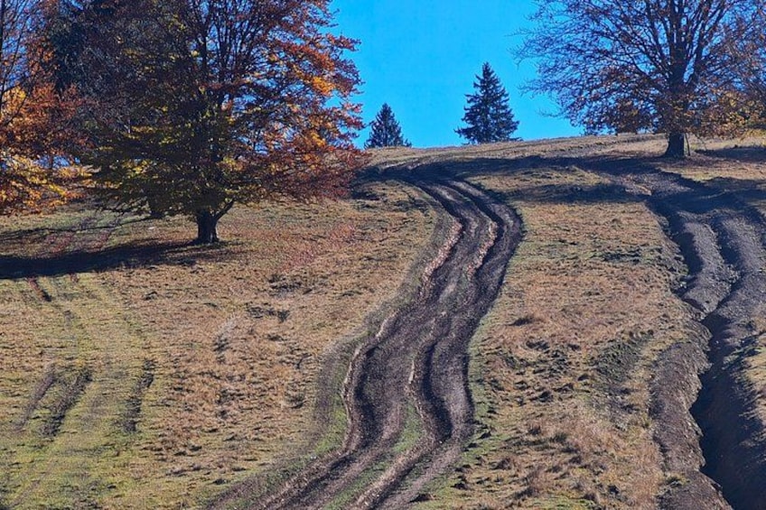 Brașov - Private Jeep Off-Road Adventure 2