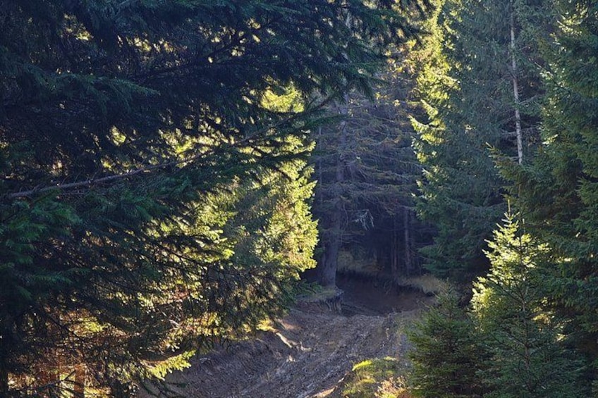 Brașov - Private Jeep Off-Road Adventure 3