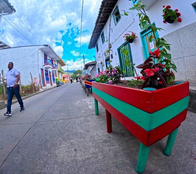 A street with colorful buildings, a man walking, and a planter with flowers. 2