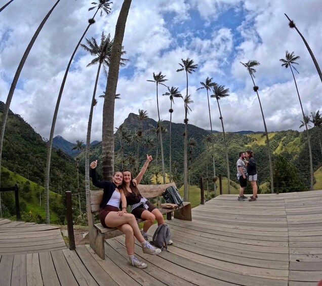 A wooden deck with people sitting and standing, palm trees, and a mountainous landscape in the background. 1
