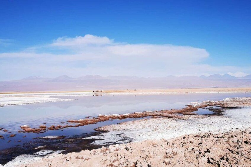 A salt flat with reflective water and distant mountains. 2