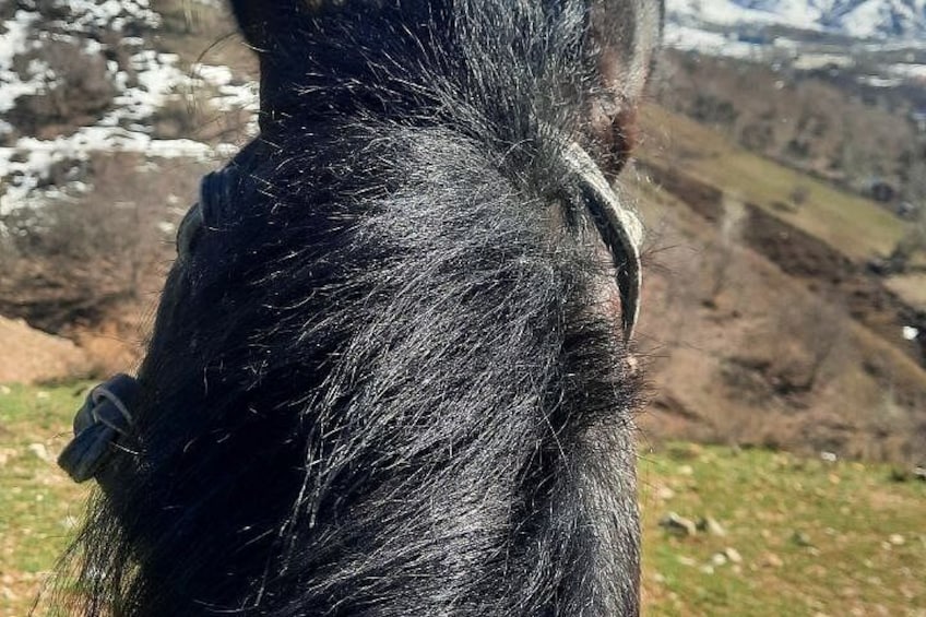 Een close-up van iemands haar, met een bergachtig landschap op de achtergrond. 3
