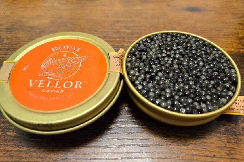 Vellor Caviar Tasting Experience with Champagne 5