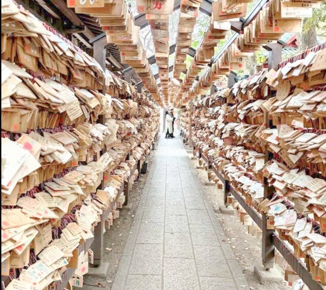 Picture 2 for Activity FROM TOKYO - EXPLORE LITTLE EDO 3