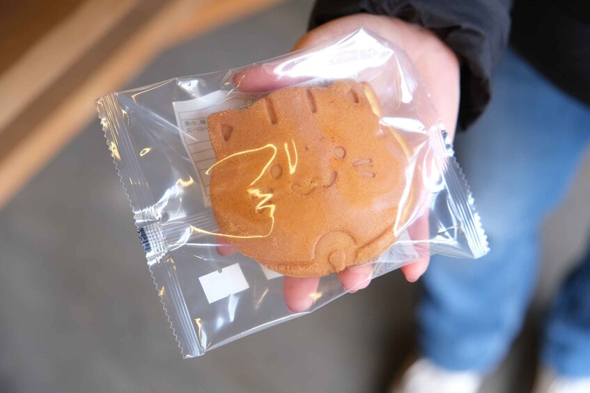 Picture 8 for Activity FROM TOKYO - EXPLORE LITTLE EDO & CRAFTS WALKING TOUR 5