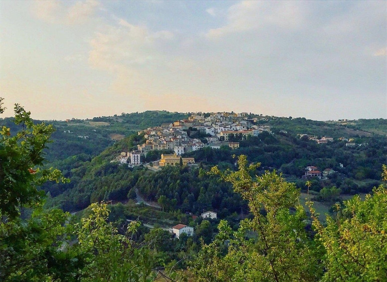 A hillside town with buildings, surrounded by greenery. 1