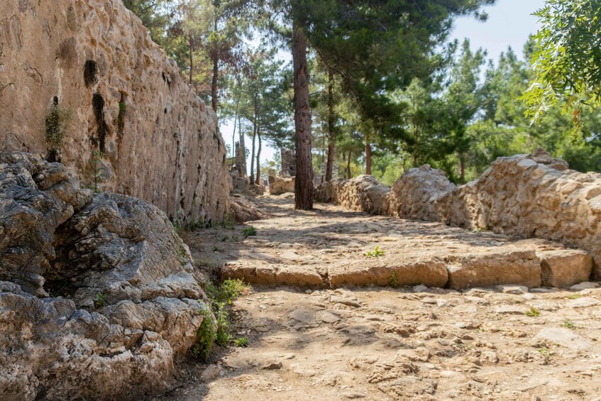 A rocky path flanked by large boulders and trees in a natural setting. 4