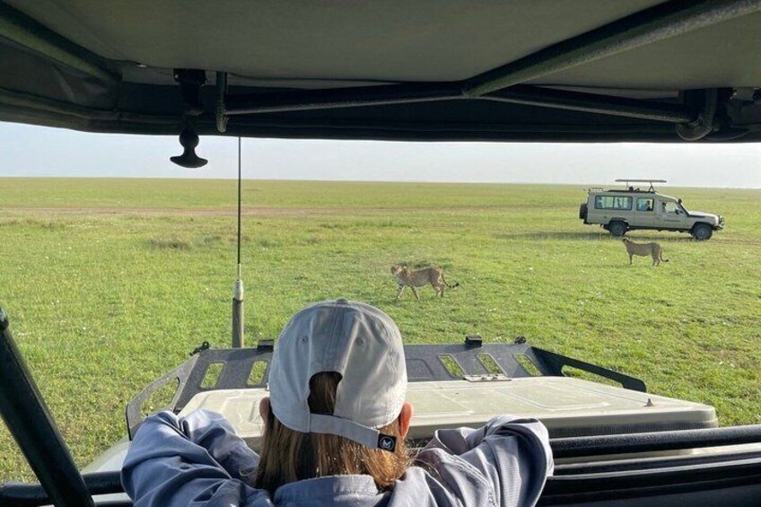 A person in a vehicle observing wildlife in a grassy field. 2