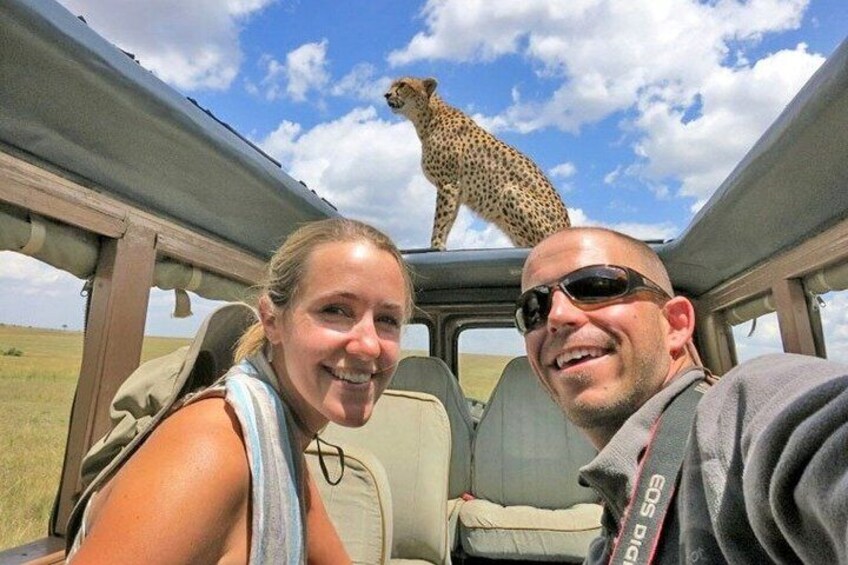A vehicle interior with a cheetah on the roof and a person in the driver's seat. 3