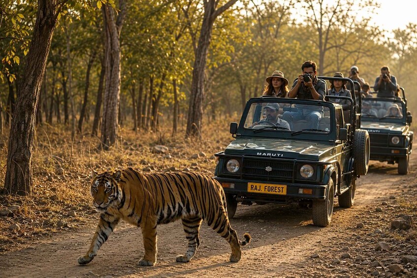 A safari vehicle with passengers observing a tiger on a dirt path in a wooded area. 1