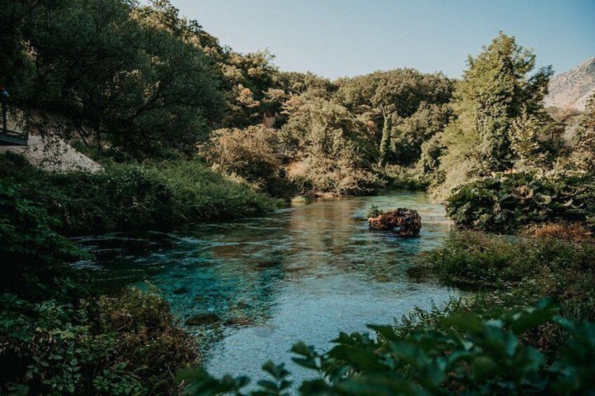 A river with clear water, surrounded by dense greenery and trees. 4