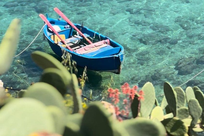 A small blue boat with red paddles on clear shallow water, surrounded by aquatic plants and some cactus plants in the foreground. 2