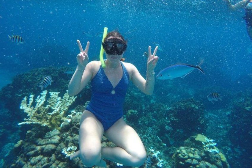 Eine Person taucht unter Wasser inmitten von Korallenriffen und Fischen. 4