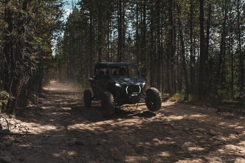 Park City: Little Deer Creek Falls UTV Adventure (4 Seater RZR) 3