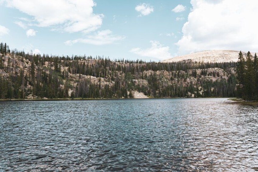 Park City: Little Deer Creek Falls UTV Adventure (4 Seater RZR) 2