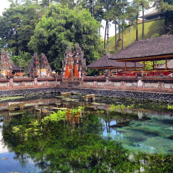 Picture 8 for Activity Bali : UBUD Balinese Melukat at Tirta Empul & waterfall, 2