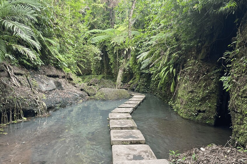 Picture 9 for Activity Bali : UBUD Balinese Melukat at Tirta Empul & waterfall, 5