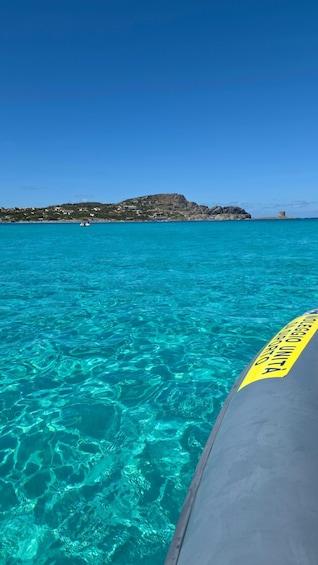 Picture 14 for Activity Stintino: Inflatable boat to Asinara & La Pelosa 2