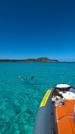 Picture 16 for Activity Stintino: Inflatable boat to Asinara & La Pelosa 4