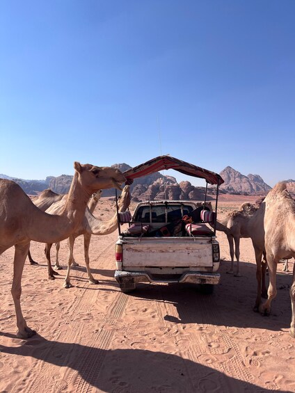 Picture 12 for Activity , Wadi Rum: 2-Day Jeep, Hike & Sleeping under the stars 2