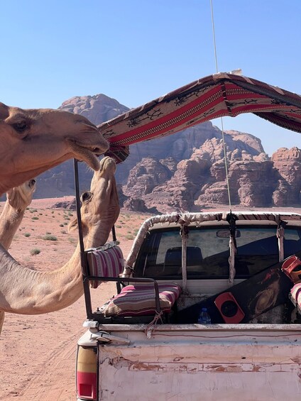, Wadi Rum: 2-Day Jeep, Hike & Sleeping under the stars 1