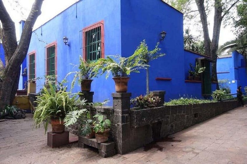 A blue building with green windows, surrounded by potted plants and trees. 2