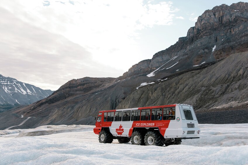 From Banff: Icefield Parkway & Glacier Adventure 5
