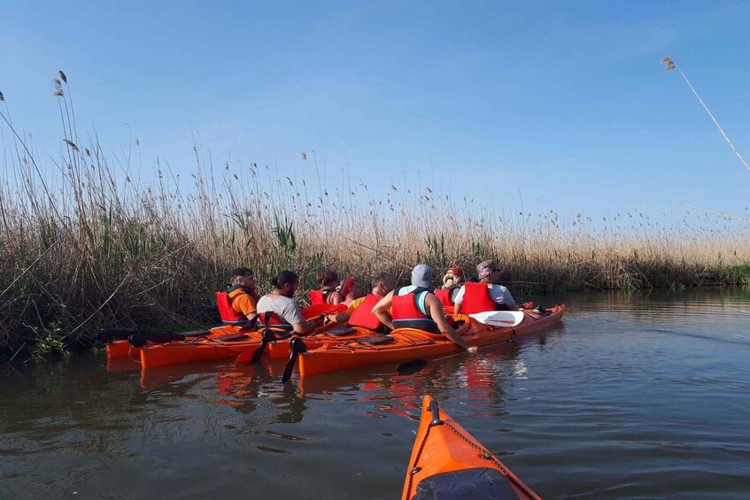 A group of people in orange kayaks on a calm river, surrounded by tall reeds. 3