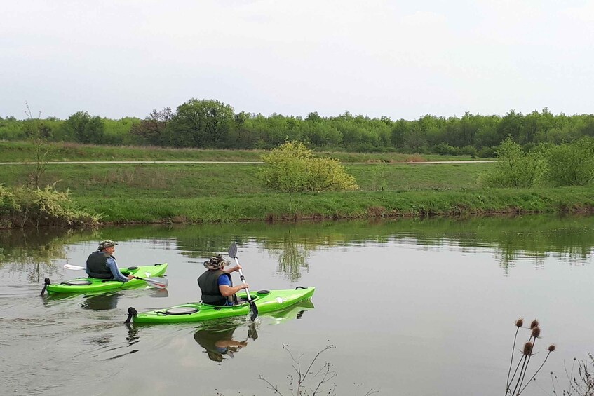 Two people kayaking on a calm river surrounded by greenery. 2